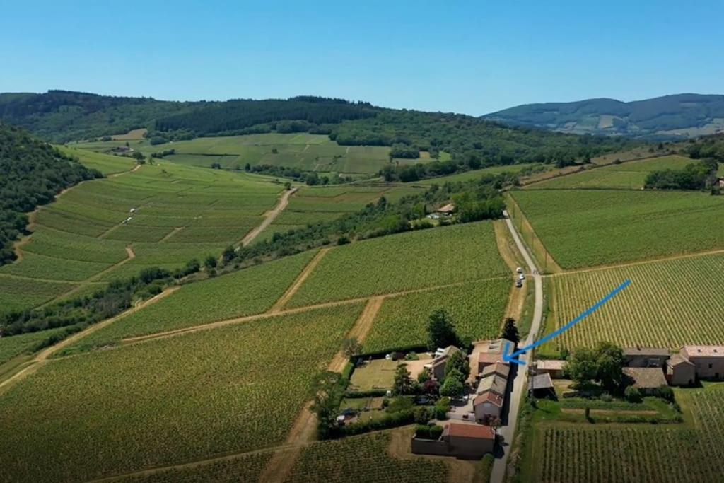 Вілла Le Tinailler Grand Standing Au Coeur Des Vignes Prisse Екстер'єр фото
