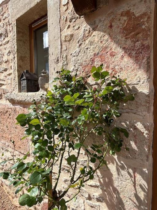 Вілла Le Tinailler Grand Standing Au Coeur Des Vignes Prisse Екстер'єр фото
