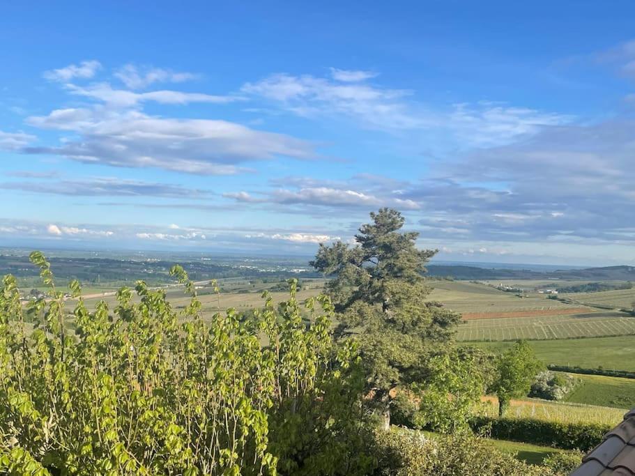 Вілла Le Tinailler Grand Standing Au Coeur Des Vignes Prisse Екстер'єр фото