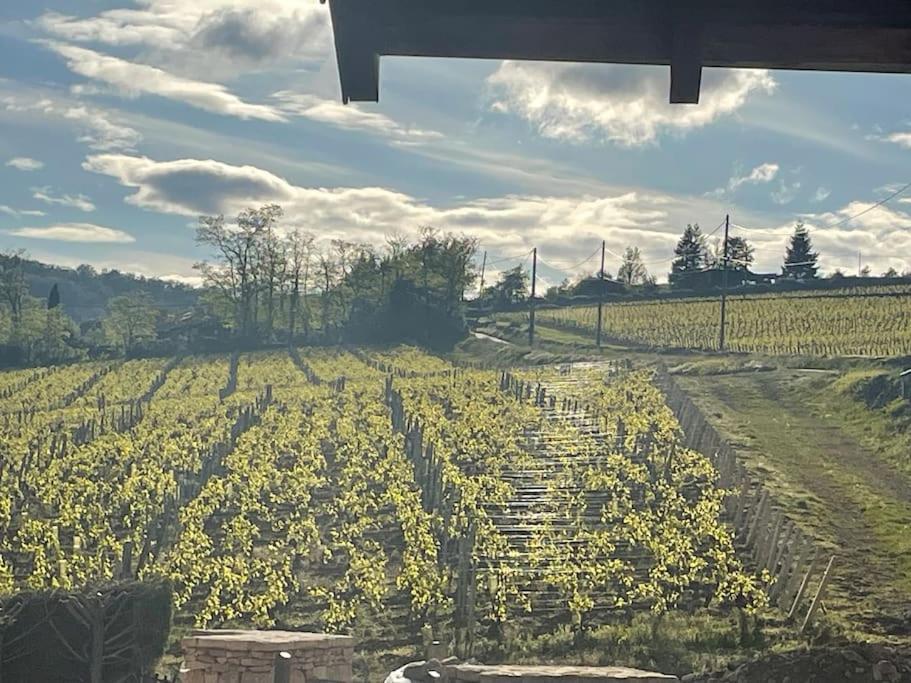 Вілла Le Tinailler Grand Standing Au Coeur Des Vignes Prisse Екстер'єр фото