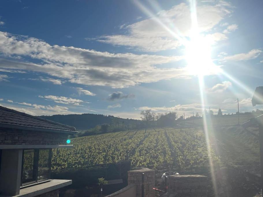 Вілла Le Tinailler Grand Standing Au Coeur Des Vignes Prisse Екстер'єр фото
